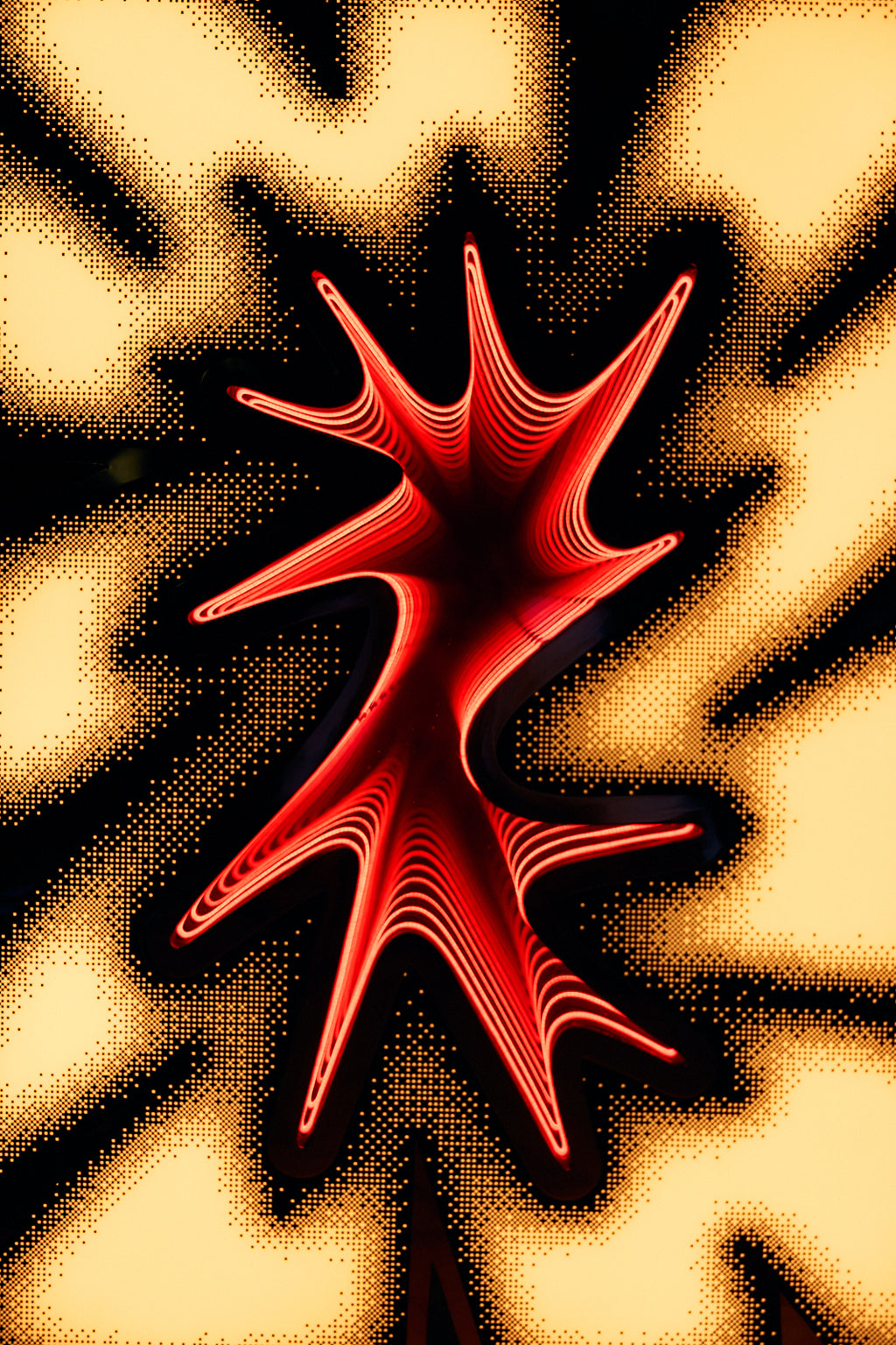 KNALBAK by Edouard Schneider - PRE-ORDER now